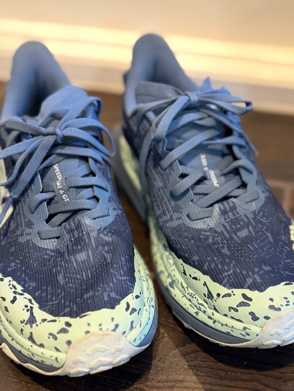 Women's Hoka Speedgoat 6 GTX Shoes, 8B